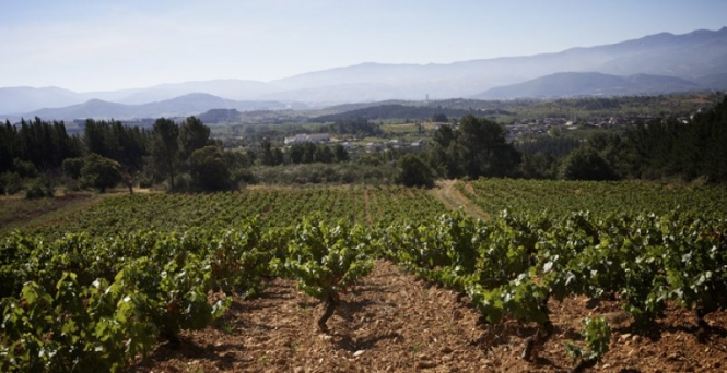 Bierzo Enoturismo supera la auditoría de calidad y renueva en las Rutas del Vino