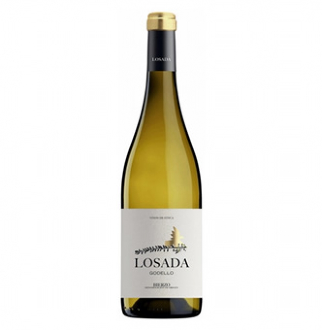 Losada Godello