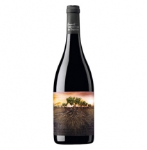 Garnacha Olvidada de Aragón