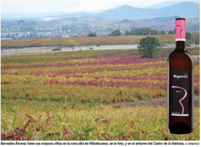 BOCCHUS DE ORO PARA EL VIÑA MIGARRON ROSADO 2015